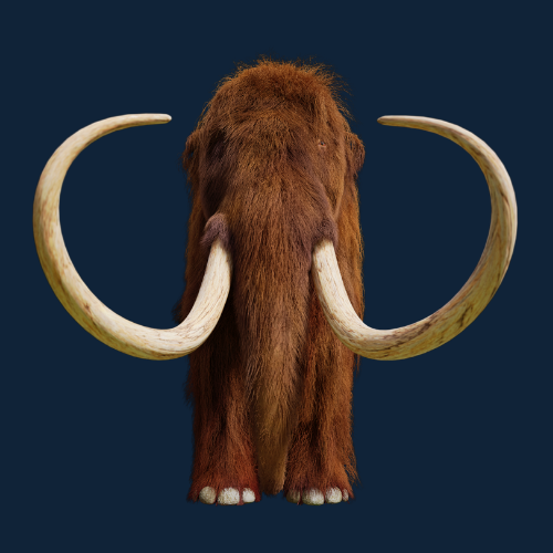 Juergen-Menhart.com - Keynote Speaker